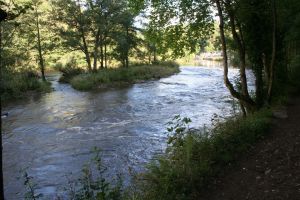 Rapids