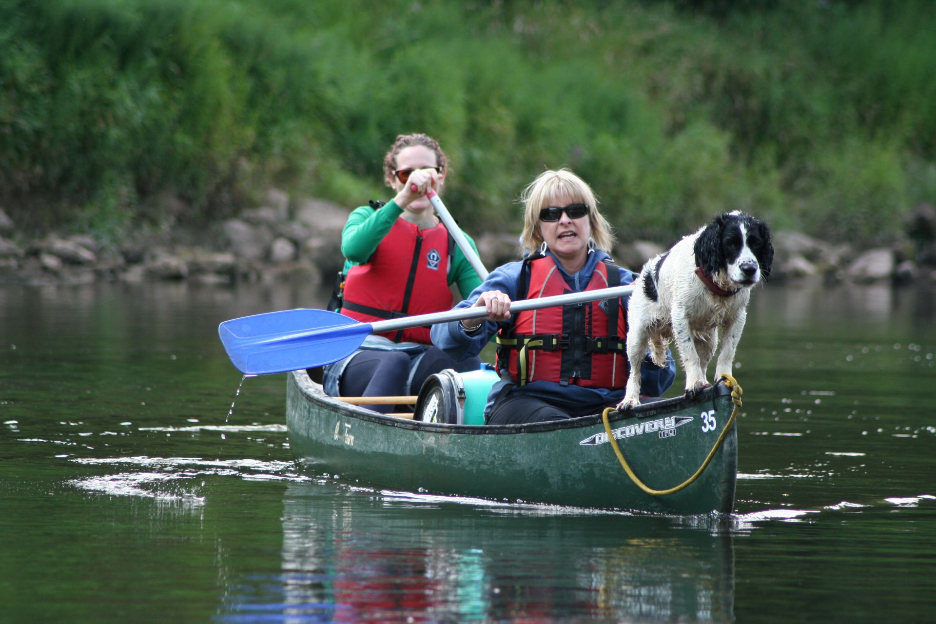 All aboard including Ronnie the dog