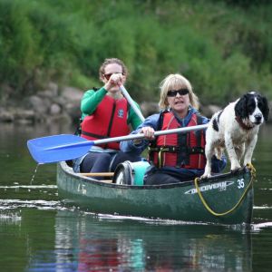 All aboard including Ronnie the dog